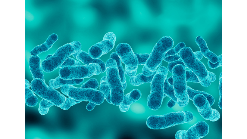 Conoscere il Nemico: Comprendere la Legionella e le Sue Implicazioni per la Salute Pubblica
